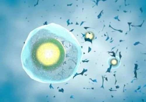 详述冻囊胚4BB着床过程，孵化到着床都很详细