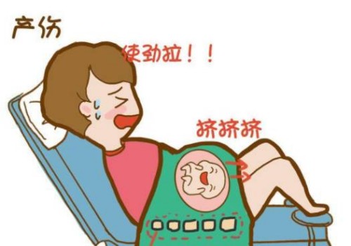 胎停育的主要原因一般是这些，搞清楚了才能针对性预防